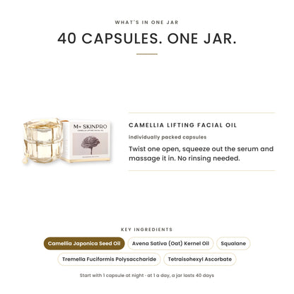 What's in one jar: 40 individually packed capsules of M+ Camellia Lifting Facial Oil, and its key ingredients