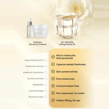 M+ Camellia Lifting Facial Oil compared with ordinary serums and creams