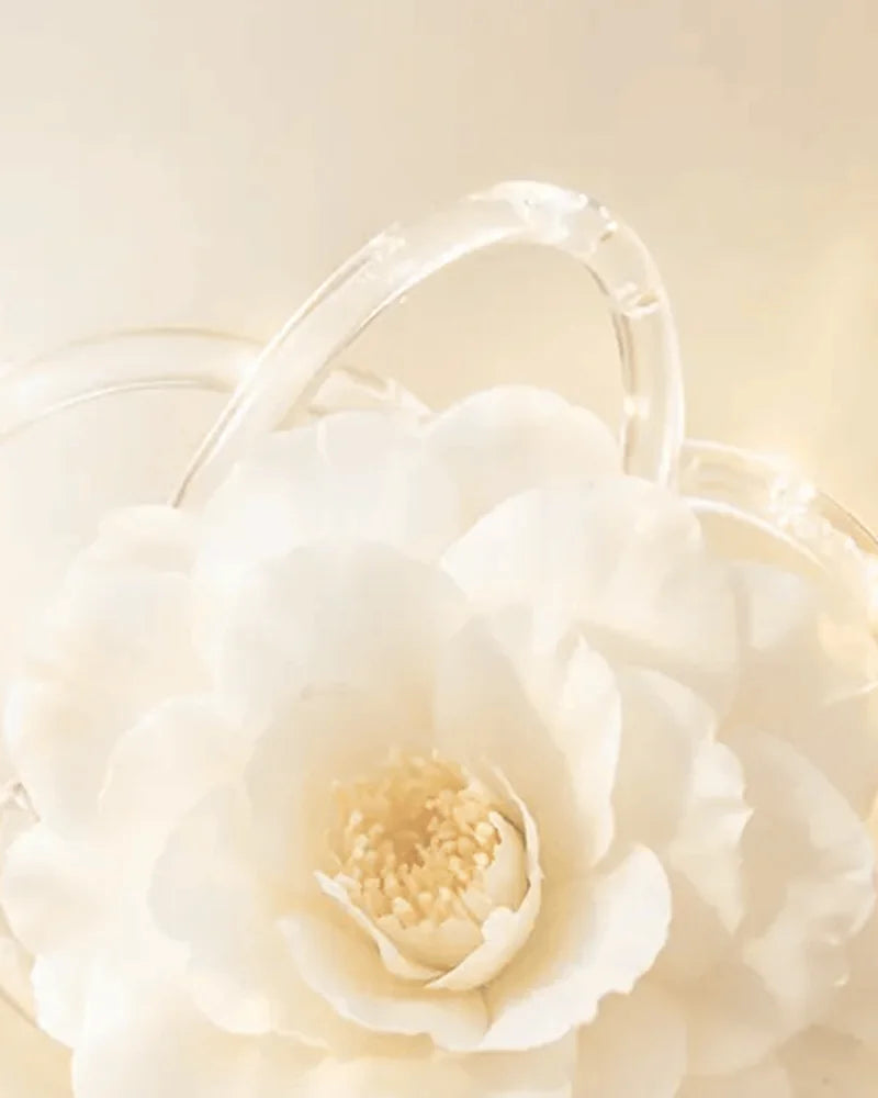 A white camellia, from our key visual